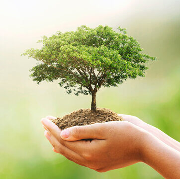 Community Foundation Fund Development